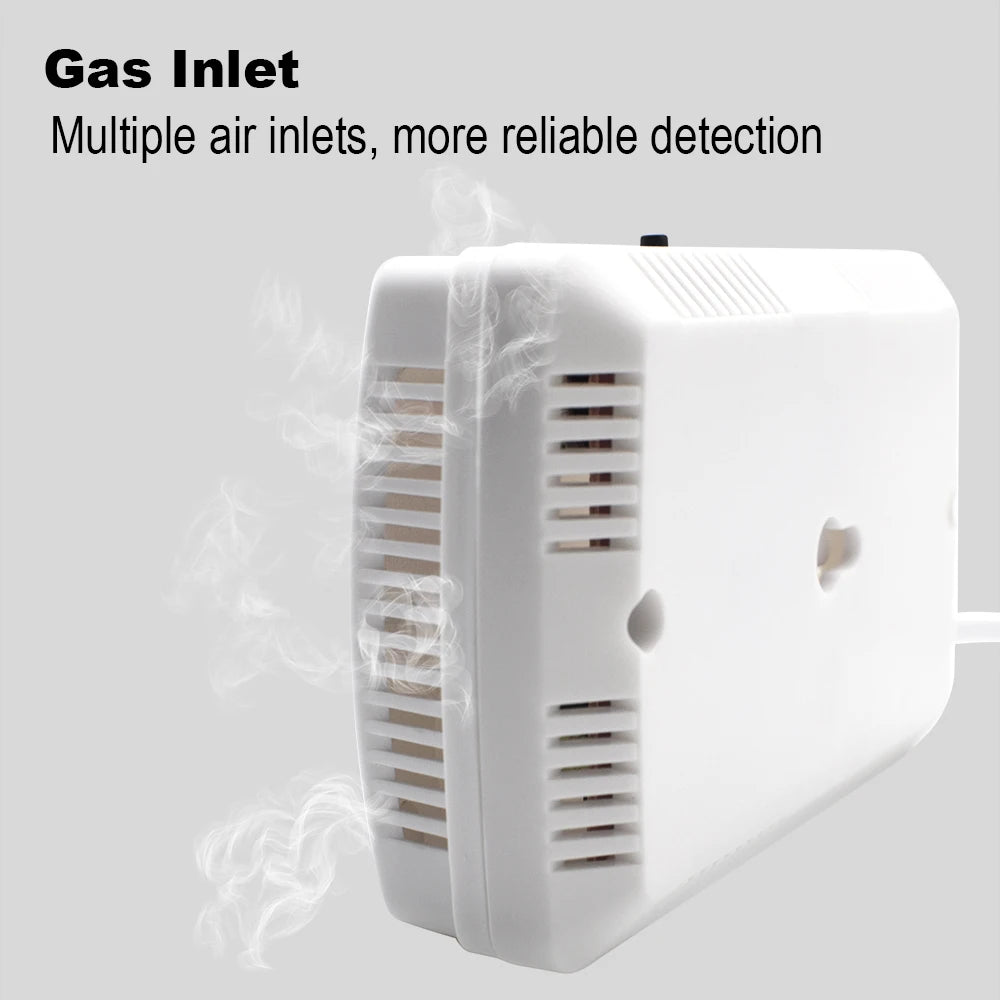 2-in-1 Natural Gas And Carbon Monoxide Sensor Alarm