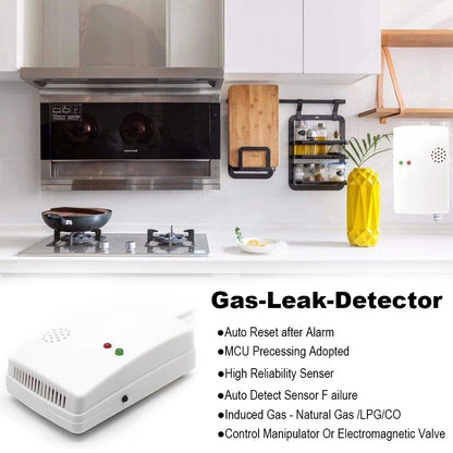 2-in-1 Natural Gas And Carbon Monoxide Sensor Alarm